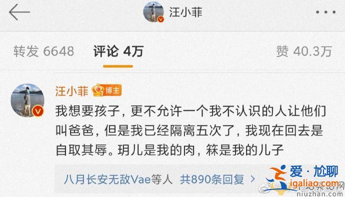 小S頻繁激怒汪小菲，汪小菲霸氣回懟！網(wǎng)友：到底退沒退圈？