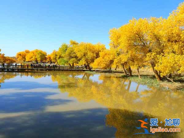 【胡楊林在什么地方】國內(nèi)四大胡楊林景區(qū)？
