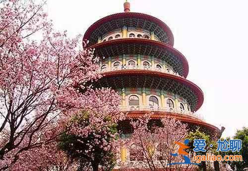北京春天去哪里賞花？2018北京春季賞花全攻略？