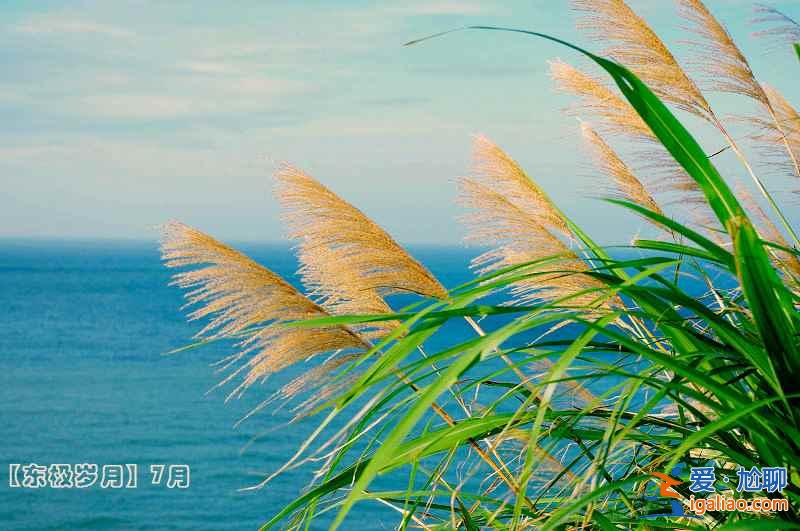 東極島最佳旅游時(shí)間倒計(jì)時(shí),9月、10月魚肥蟹滿? 東極島最佳旅游時(shí)間倒計(jì)時(shí),9月、10月魚肥蟹滿?