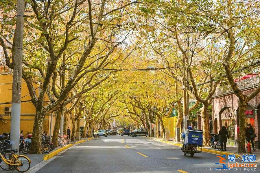 上海周末徒步路線，上海周末徒步好地方？