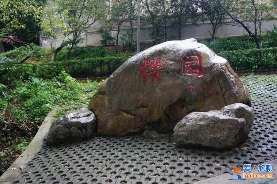 春天適合去哪里旅游，春天去哪里旅游好，春天旅游攻略？