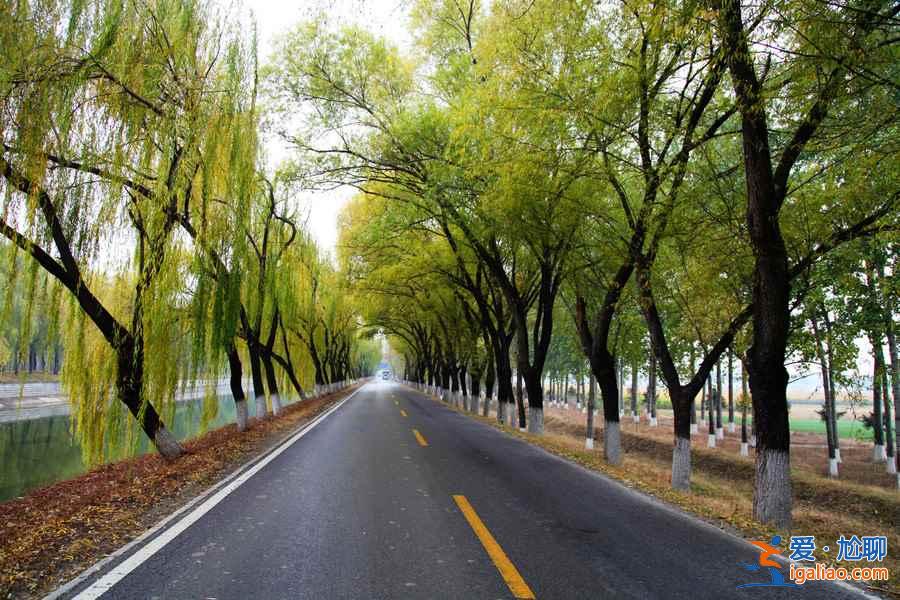 五一帶孩子去哪玩，2019北京五一帶孩子去哪玩？