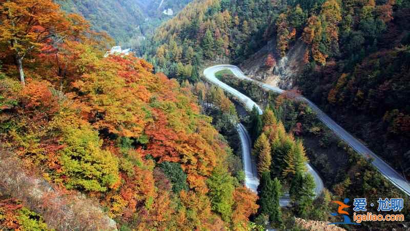 光霧山紅葉什么時(shí)候紅，2018光霧山紅葉紅了嗎？