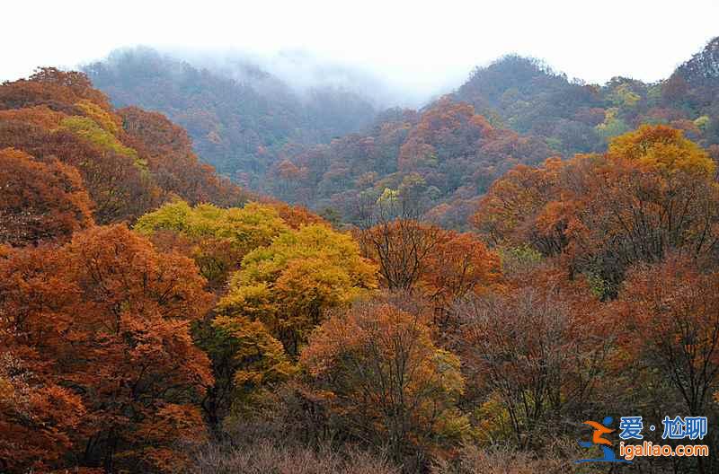 光霧山紅葉什么時(shí)候紅，2018光霧山紅葉紅了嗎？