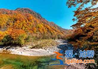 光霧山紅葉什么時(shí)候紅，2018光霧山紅葉紅了嗎？
