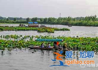 【路線】2018北京到白洋淀自駕游,北京到白洋淀怎么走? 【路線】2018北京到白洋淀自駕游,北京到白洋淀怎么走?
