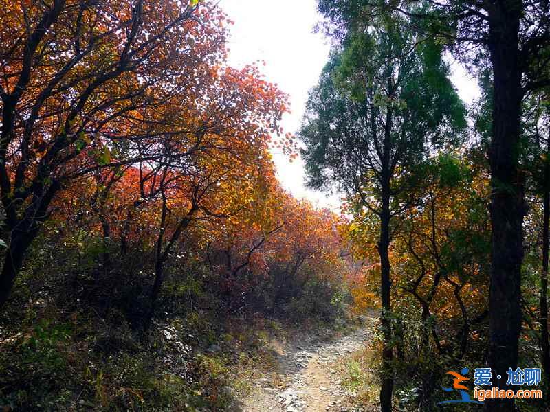 【北京登山好去處】2019北京登山去哪好，北京值得去的8條登山步道？
