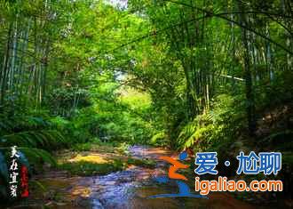 蜀南竹海自駕游路線，（西安、成都、重慶等）到蜀南竹海自駕路線圖？