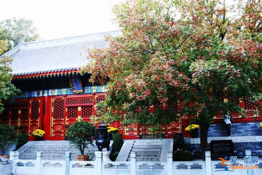 五一北京旅游去哪玩，2019五一北京旅游攻略？