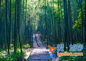 蜀南竹海自駕游路線，（西安、成都、重慶等）到蜀南竹海自駕路線圖？