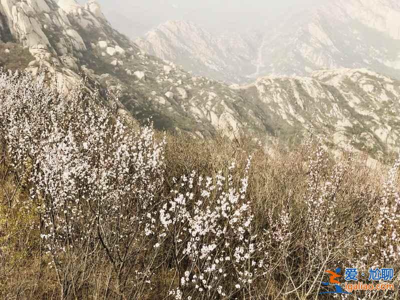 【北京登山好去處】2019北京登山去哪好，北京值得去的8條登山步道？