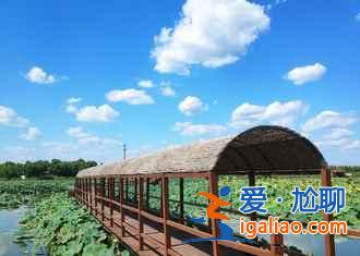 【路線】2018北京到白洋淀自駕游,北京到白洋淀怎么走? 【路線】2018北京到白洋淀自駕游,北京到白洋淀怎么走?