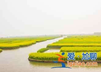 說起油菜花,婺源人太多,這里才是最佳??? 說起油菜花,婺源人太多,這里才是最佳!?