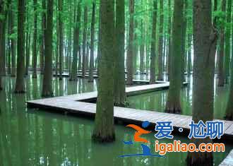 說起油菜花,婺源人太多,這里才是最佳?。? alt=