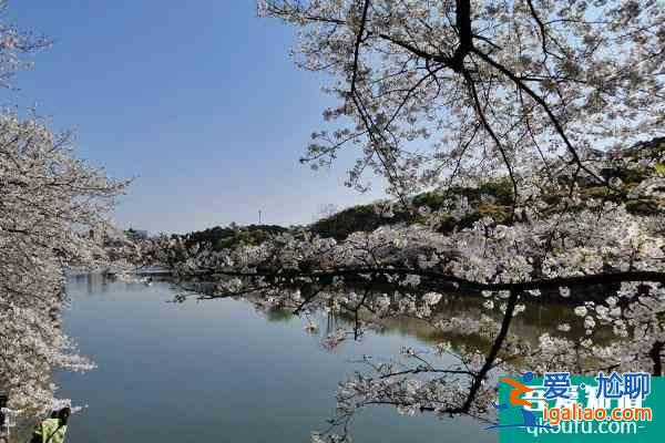 2021湖南省植物園最新臨時(shí)閉園通知？