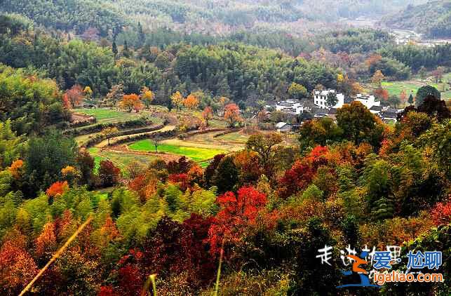 國(guó)內(nèi)“秋裝”最美的5座山，錯(cuò)過(guò)就要等一年？