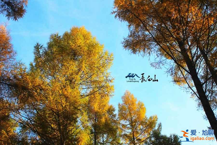 國(guó)內(nèi)“秋裝”最美的5座山，錯(cuò)過(guò)就要等一年？