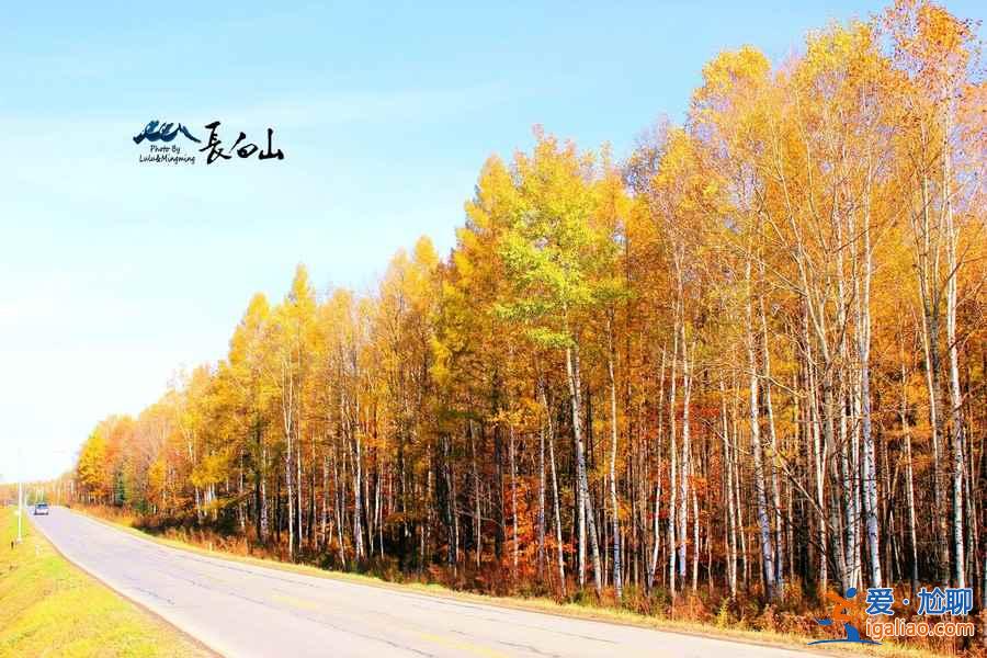 國(guó)內(nèi)“秋裝”最美的5座山，錯(cuò)過(guò)就要等一年？