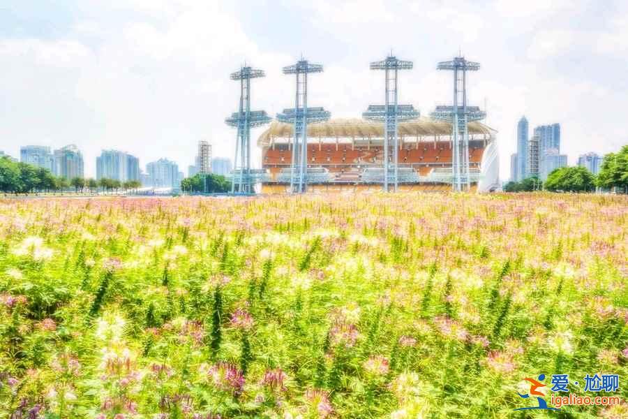 廣州哪里好玩又便宜？廣州便宜好玩的地方推薦？