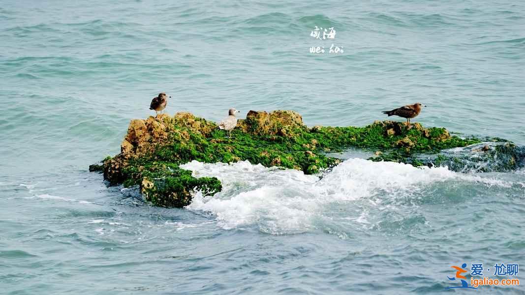 威海去哪看海，威海有什么好玩的地方，威海好玩的景點？
