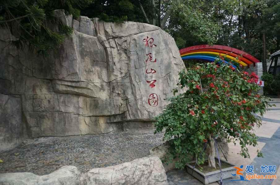 廈門騎行路線推薦，8條路線玩轉廈門？