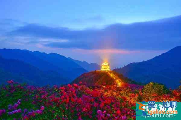 2021大圍山國家森林公園自12月26日起臨時閉園通知？
