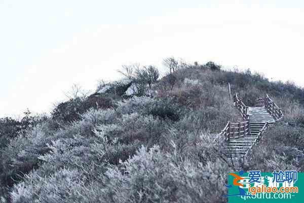 2021大圍山國家森林公園自12月26日起臨時閉園通知？