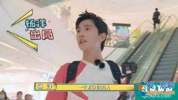 維嘉戀情是假的 為騙楊洋與商場(chǎng)客人假裝情侶？
