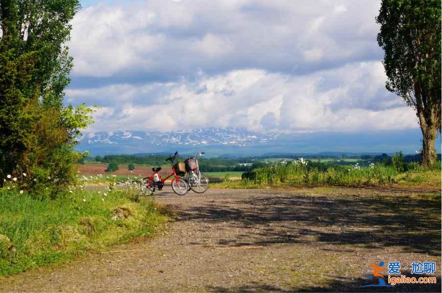 【北海道住宿推薦】日本北海道酒店TOP5，北海道溫泉酒店推薦？