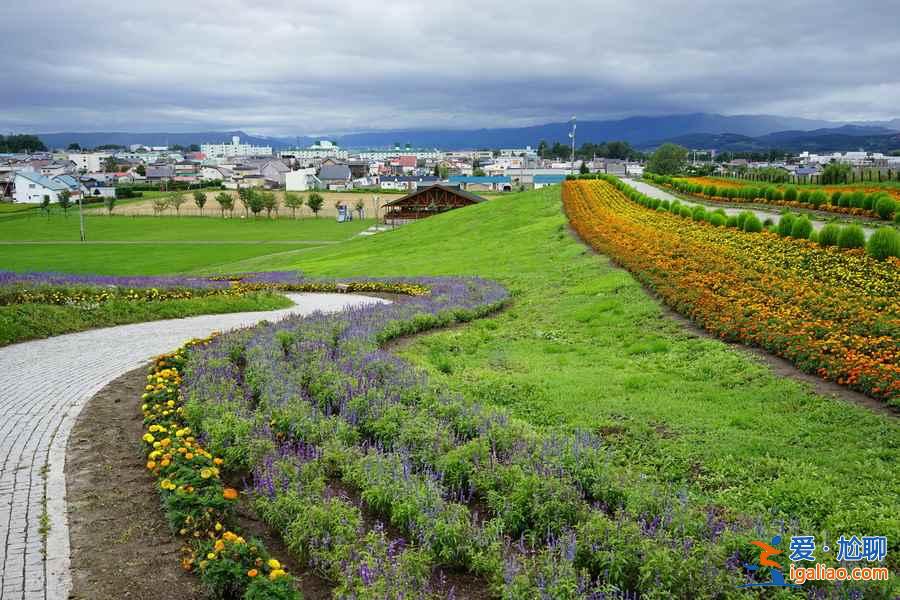 【北海道住宿推薦】日本北海道酒店TOP5，北海道溫泉酒店推薦？