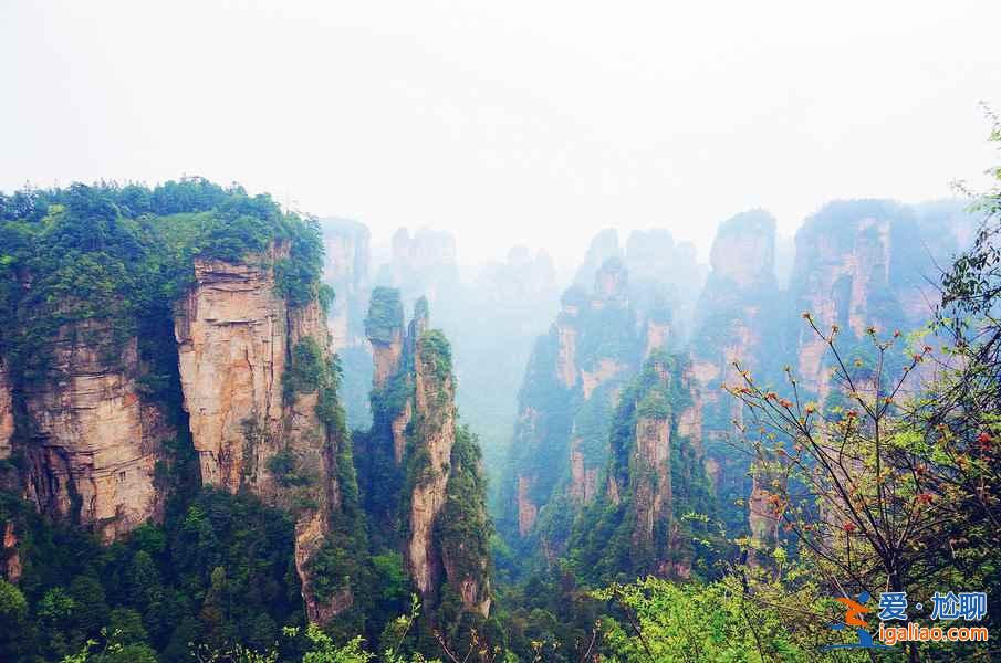 武陵源熱門景點有哪些，武陵源哪些景點值得去，武陵源景點攻略？