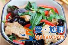 車前草的食用方法？