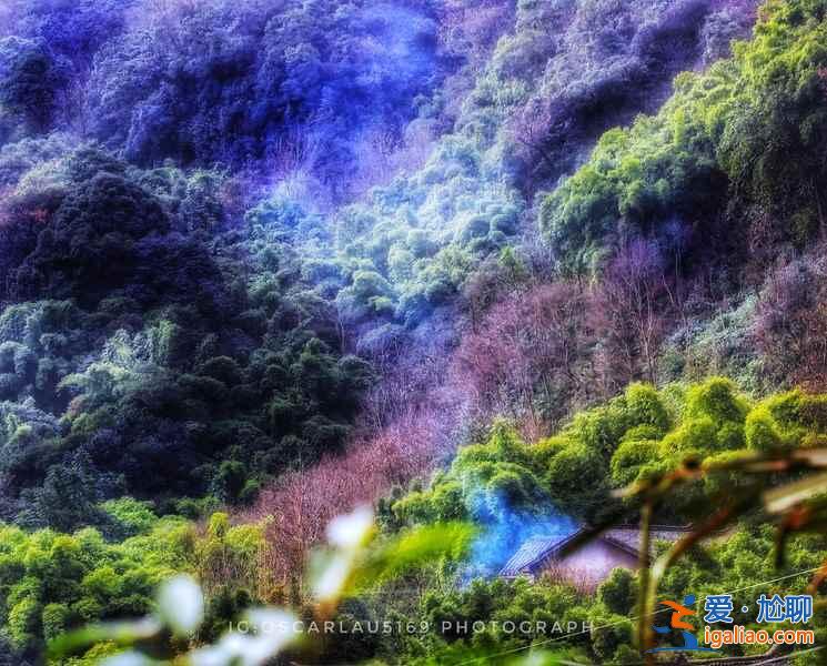 峨眉山有哪些網(wǎng)紅景點(diǎn)，峨眉山網(wǎng)紅景點(diǎn)好玩嗎，峨眉山網(wǎng)紅景點(diǎn)推薦？