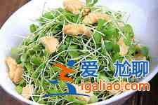 香椿芽的做法？