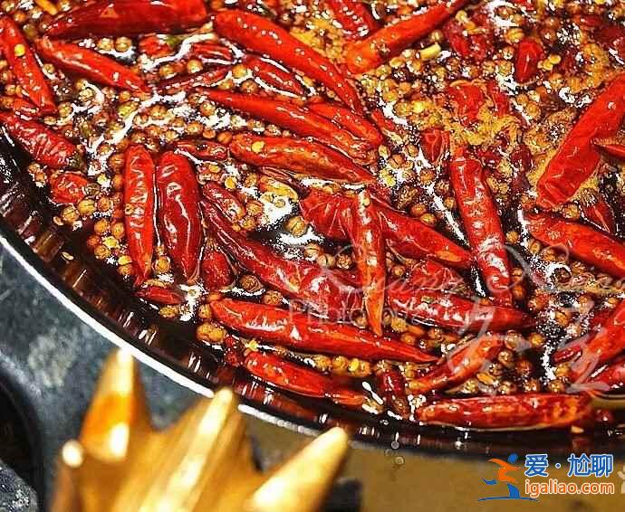 【成都火鍋店被吃垮】成都火鍋有多好吃，成都火鍋你真的會吃嗎？