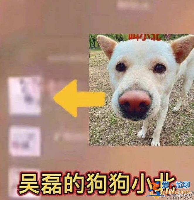 網(wǎng)曝吳磊微信置頂疑是向涵之  吳磊向涵之疑似戀愛？