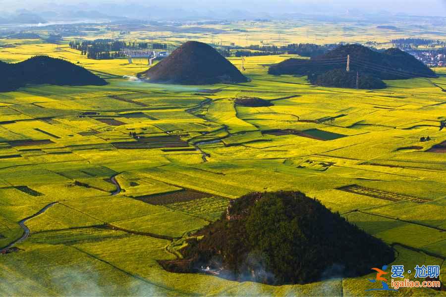 三月出游賞花去哪里，3月國(guó)內(nèi)這些地方的花最美？
