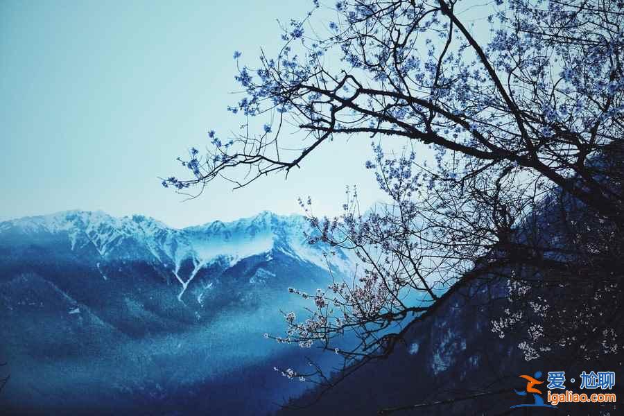 三月國內出游好地方推薦，三月國內最美目的地排行？
