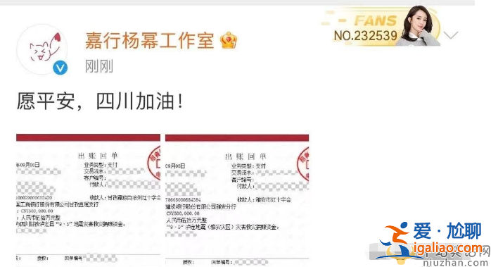 瀘定抗震救災(zāi)72小時(shí) 楊冪忙著捐款，Angelababy楊穎忙著曬狗，反差太大