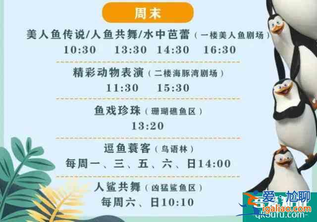 2022贛州極地海洋世界門票優(yōu)惠政策確定 180的門票現(xiàn)在85起？