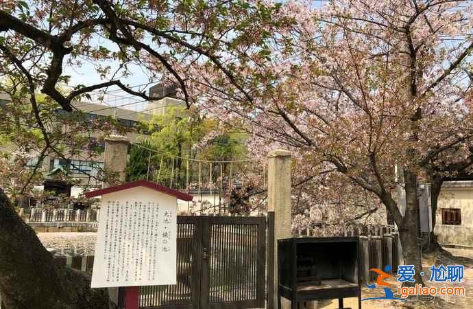 2019年大阪賞櫻去哪好，2019年大阪賞櫻地點(diǎn)推薦，2019年大阪賞櫻攻略？