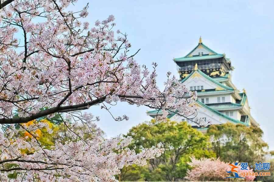 2019年大阪賞櫻去哪好，2019年大阪賞櫻地點(diǎn)推薦，2019年大阪賞櫻攻略？