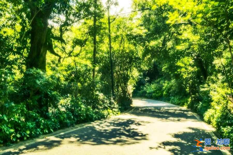 廣州踏青去哪好，廣州哪里適合踏青，廣州踏青好去處？
