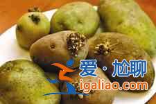 豆角燉土豆？