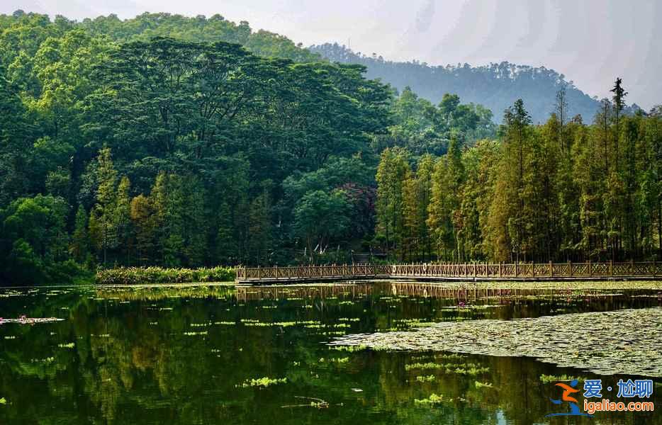 廣州踏青去哪好，廣州哪里適合踏青，廣州踏青好去處？