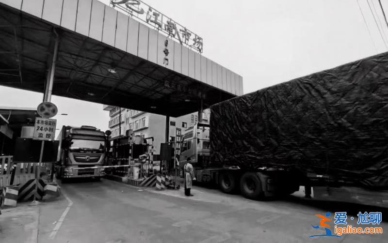 被滯銷困住的河南菜農(nóng)？