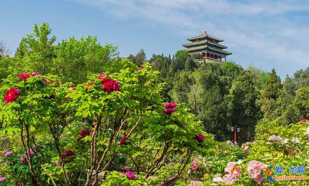 北京周末踏青好地方，北京周末踏青推薦，北京周末踏青攻略？