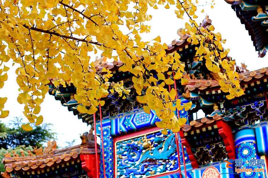 雍和宮燒香最佳時間，北京雍和宮開放時間？