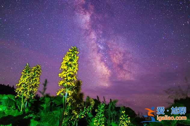 北京周邊看星星的地方，最美星空就在你身邊？
